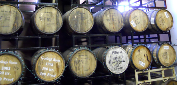 Dogfish Head Tips for Aging Beer