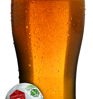Terrapin & Saw Works collaborate on Georgia/Tennesse rivalry beer