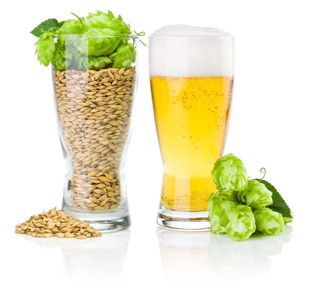 Beer Ingredients