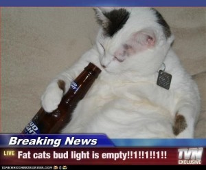 bud light cat