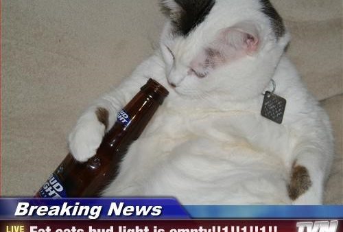 Bud Light is even more popular than you might think.