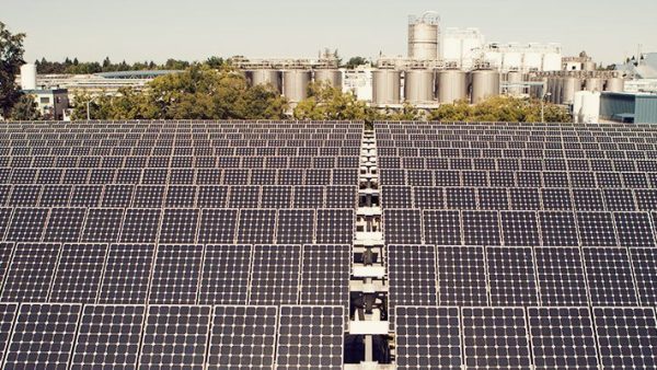 Brewers adapt to changing climate