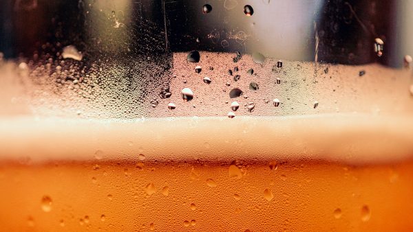 Cigar City Jai Alai IPA — Florida’s Finest Export