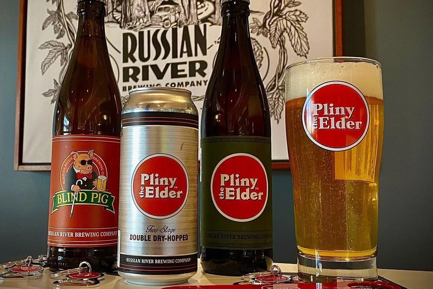Pliny the Elder