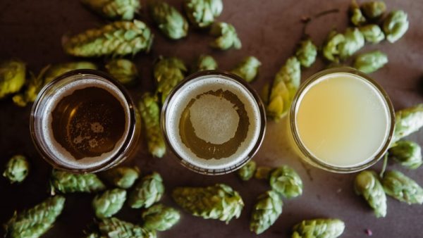 Dry Hopping: Techniques, Timing, and Troubleshooting